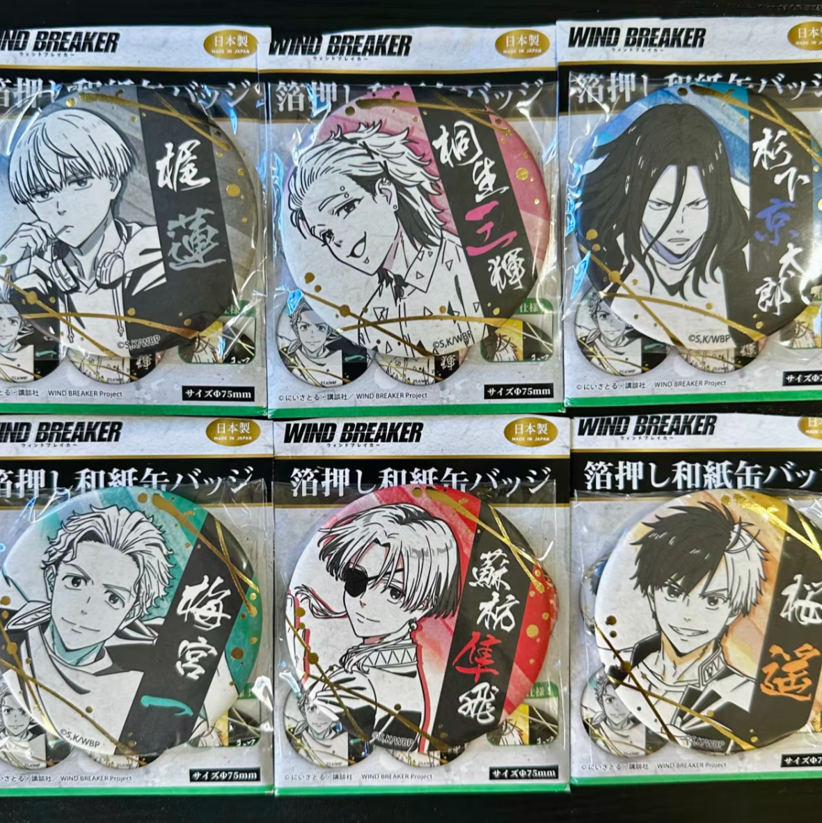 WINDBREAKER Foil-Stamped Japanese Paper Badge Collection - Blind Box Items