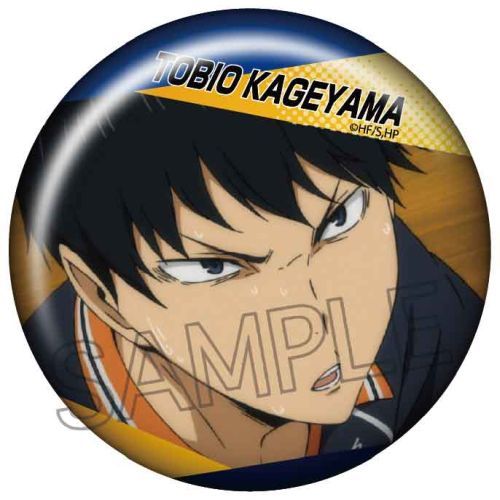Haikyuu!! TO THE TOP x Stationery Cafe Collection – Blindbox-Artikel